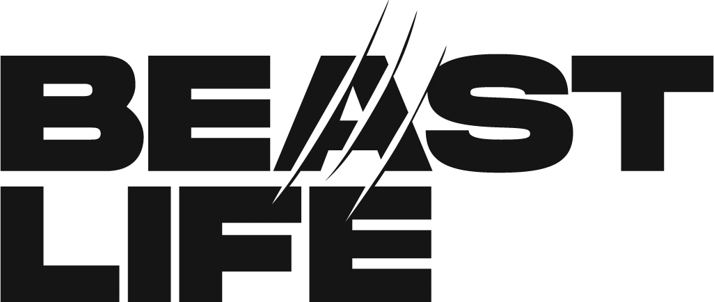 logo-11